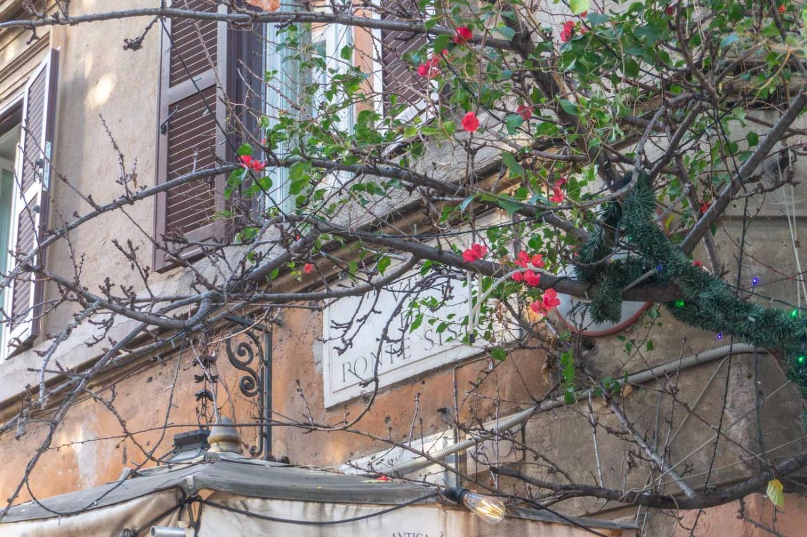 Lusso E Panorama Senza Paragoni, Loft Trastevere Рим Экстерьер фото